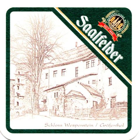 saalfeld slf-th saalfelder bauwerk promi 7a (quad185-schloss wespenstein)